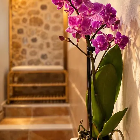Apartamento Amorquecura